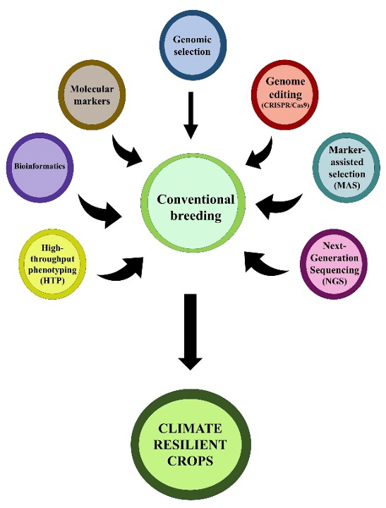 Climate-resilient crops: Integration of molecular tools into conventional breeding 5 fig 25 22 01
