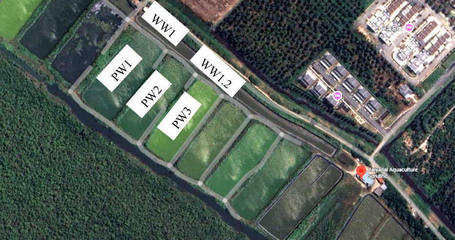 Characterization of indigenous planktonic and benthic microalgae from Malaysian shrimp farm 2 Figure 2. Sampling locations at Zaiyadal Aquaculture Sdn. Bhd., Selangor, Malaysia. Water samples were collected from three water pond sites (PW1, PW2, PW3) and two wastewater discharge channels (WW1, WW1.2). WW = Wastewater; PW = Pond water.