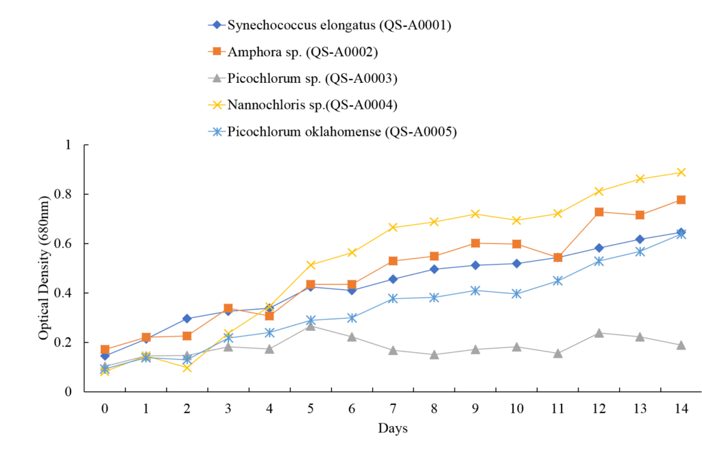 Figure 3. Growth curve of isolated microalgae during 14 days of cultivation.