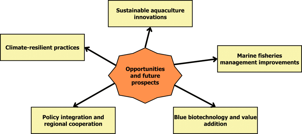 Figure 3. Opportunities and future prospects in developing and establishing the Blue Economy of Bangladesh.