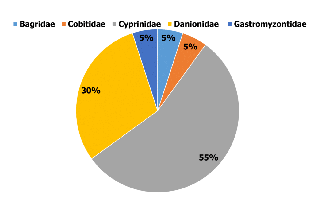 Figure 3. Relative species richness contribution (%) by freshwater fish family in Glenealy Lana Estate.