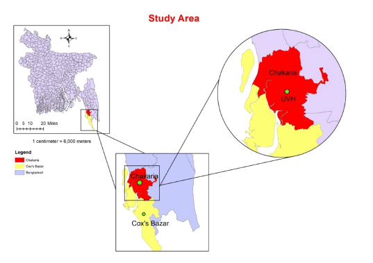 Prevalence and risk factors of Lumpy skin disease of cattle at Chakaria Upazila, Cox’s Bazar, Bangladesh 9 f1
