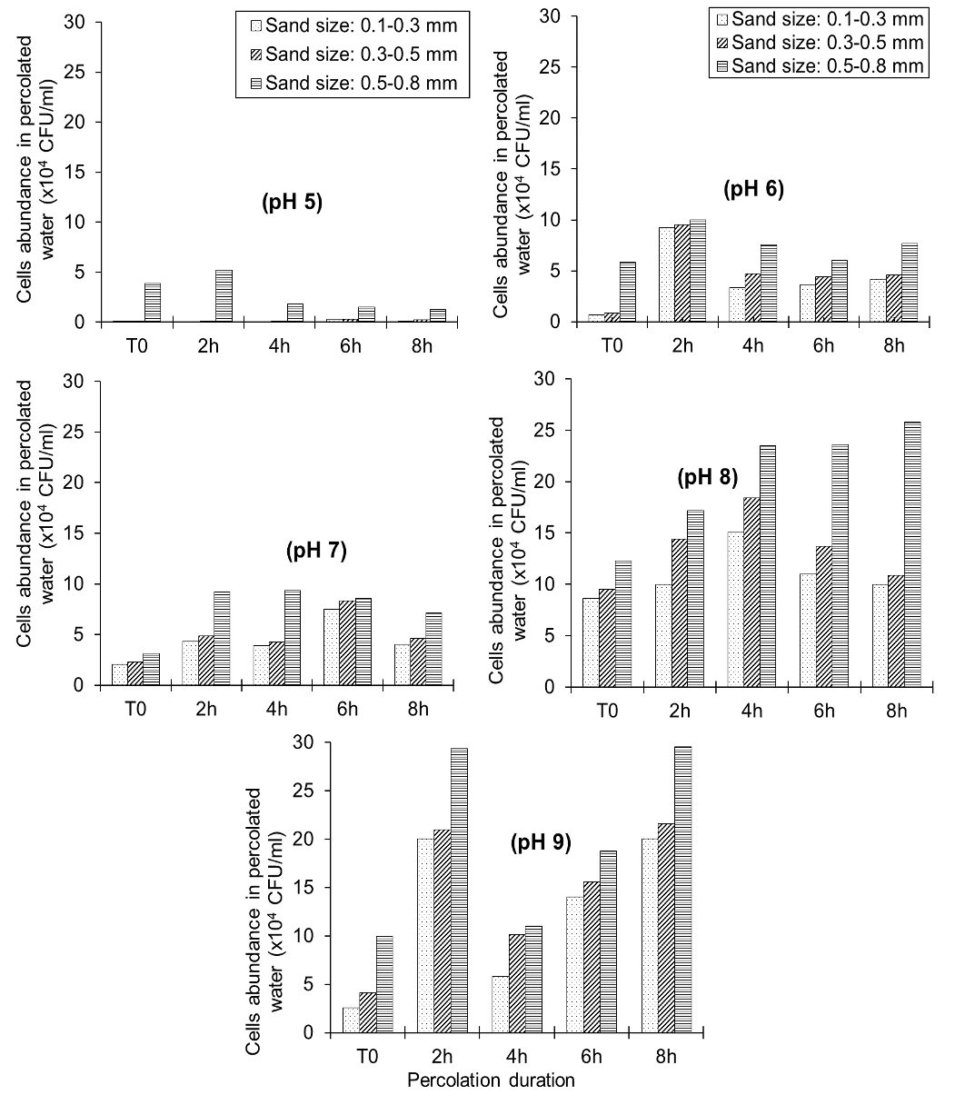 Potential role of water-percolates pH and sand size on the transfer/ retention of <i>Escherichia coli</i> cells through sandy soil 13 f3 1