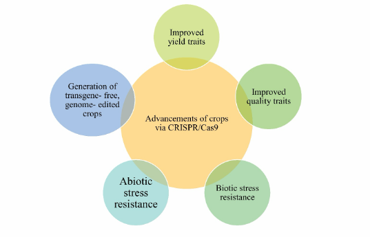 CRISPR/Cas9 genome editing technology in agriculture: Evolution in crop advancement, challenges and future expectancies 9 fig1 1