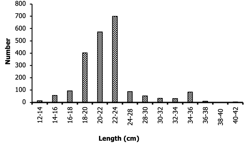 Population parameters and the stock status in <i>Sardinella maderensis</i> (Lowe, 1838) in the coastal waters of Côte d’Ivoire (West Africa) 10 fig2 3