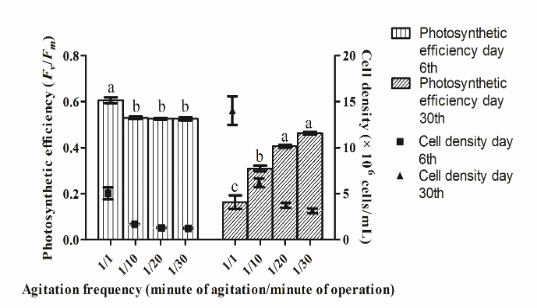 Growth and physiological responses of <i>Isochrysis galbana</i> under varying agitation frequencies 13 fig4 3
