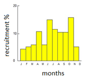 Population parameters and the stock status in <i>Sardinella maderensis</i> (Lowe, 1838) in the coastal waters of Côte d’Ivoire (West Africa) 14 fig6 1